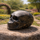 Shiny pyrite skull sculpture with detailed features, showcasing metallic gold and bronze tones on a neutral background.