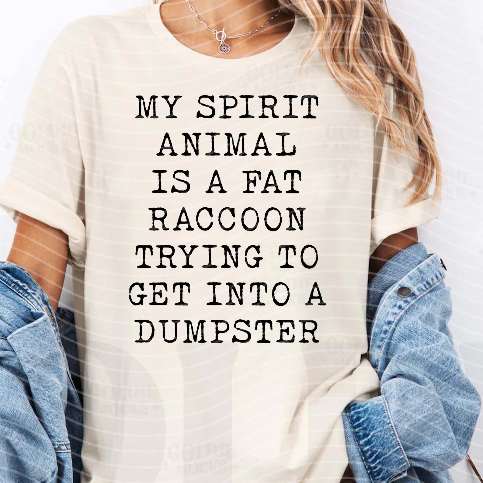 Gray graphic tee featuring a playful fat raccoon with the text "My Spirit Animal is a Fat Raccoon" by Anchored Grace Boutique.