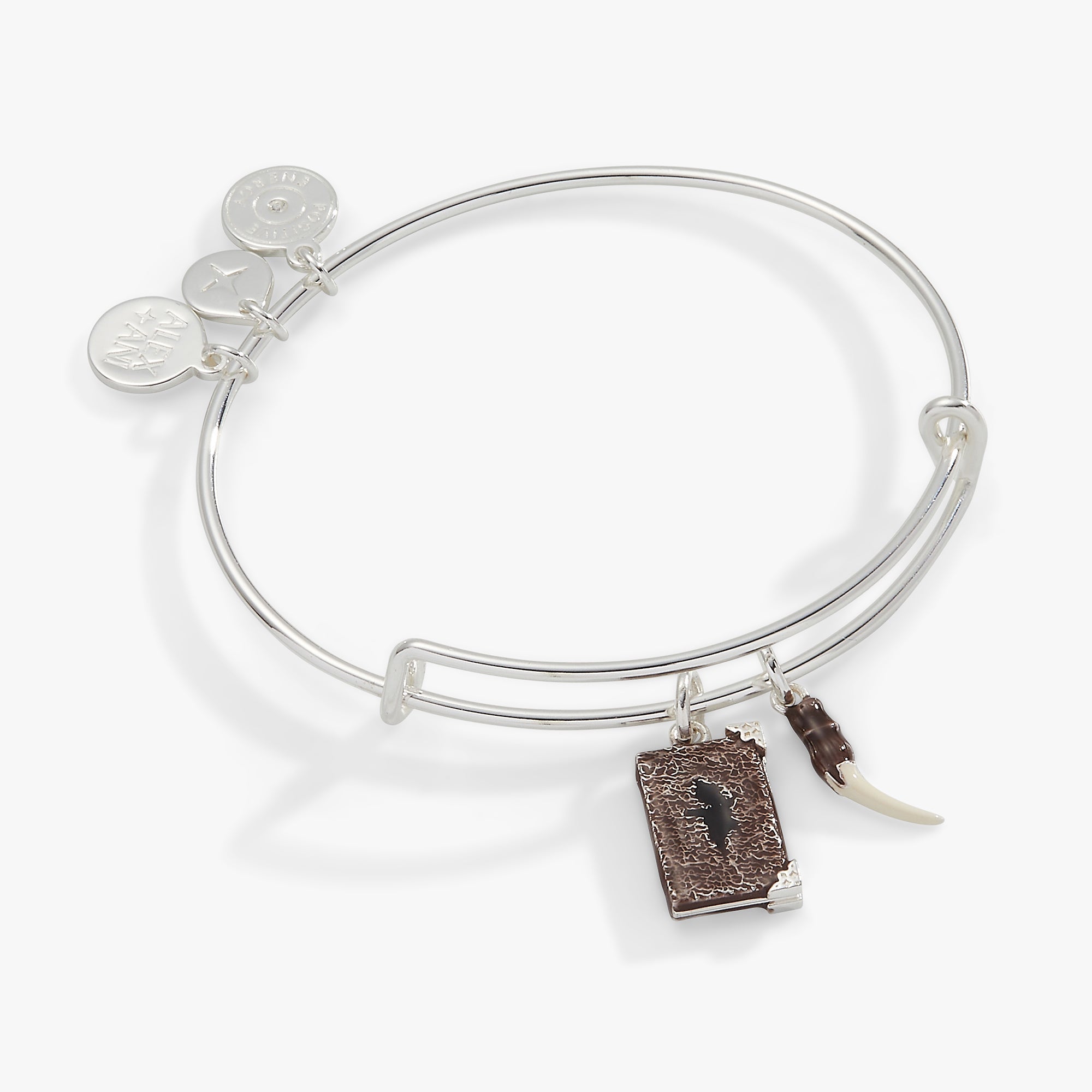 Antique silver Harry Potter™ diary and Basilisk Fang bangle bracelet by ALEX AND ANI, featuring detailed charm designs.