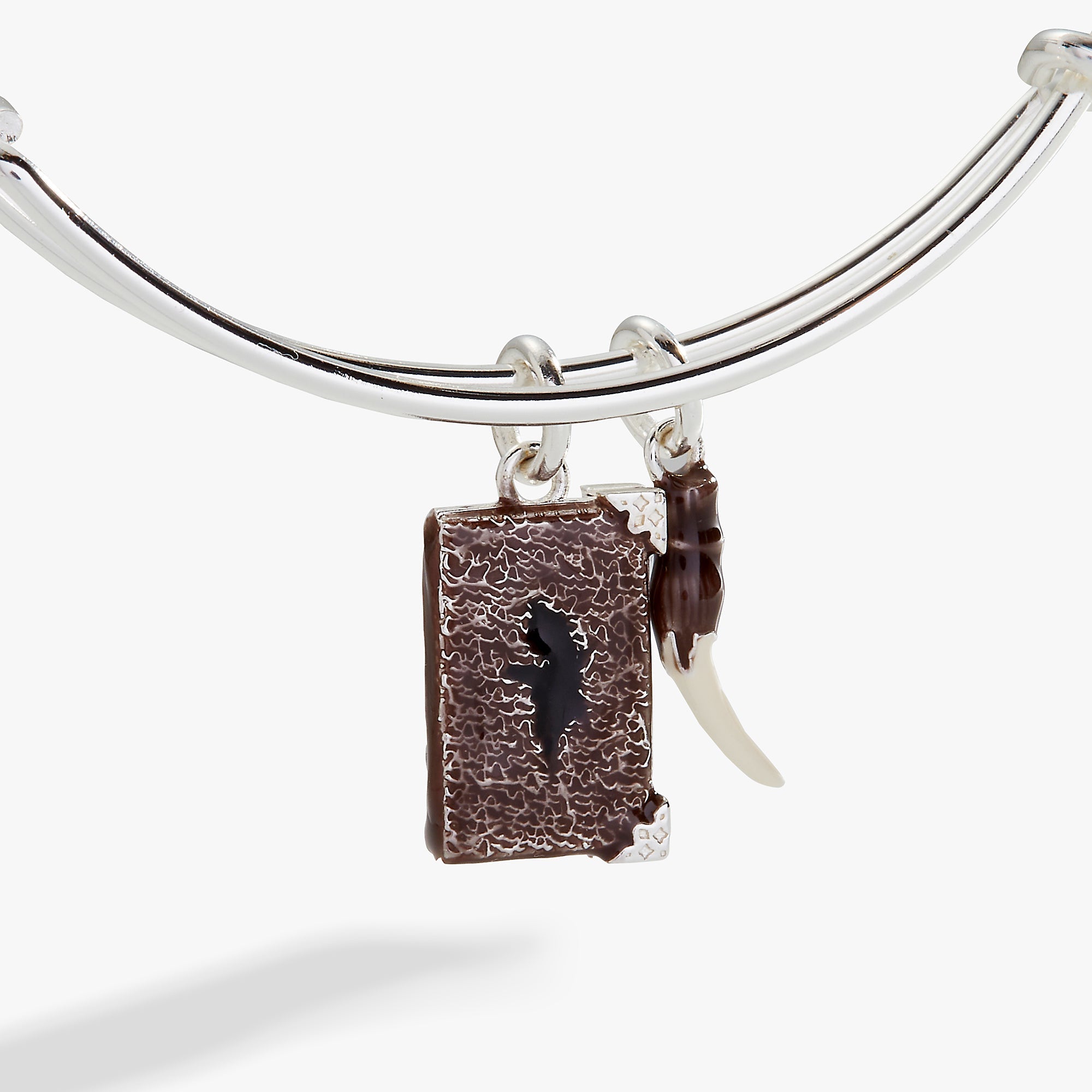 Antique silver Harry Potter™ Diary and Basilisk Fang bangle bracelet by ALEX AND ANI with detailed charm designs.