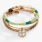 Set of three gold ALEX AND ANI Lucky Four-Leaf Clover bracelets featuring delicate clover charms and adjustable bangles.