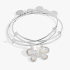 Gold butterfly wings bangle set of 2 by ALEX AND ANI, featuring delicate butterfly designs for stylish wrist accessories.
