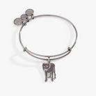 Alex and Ani Sirius Black Harry Potter charm bangle bracelet in midnight silver, featuring iconic wizarding world details.