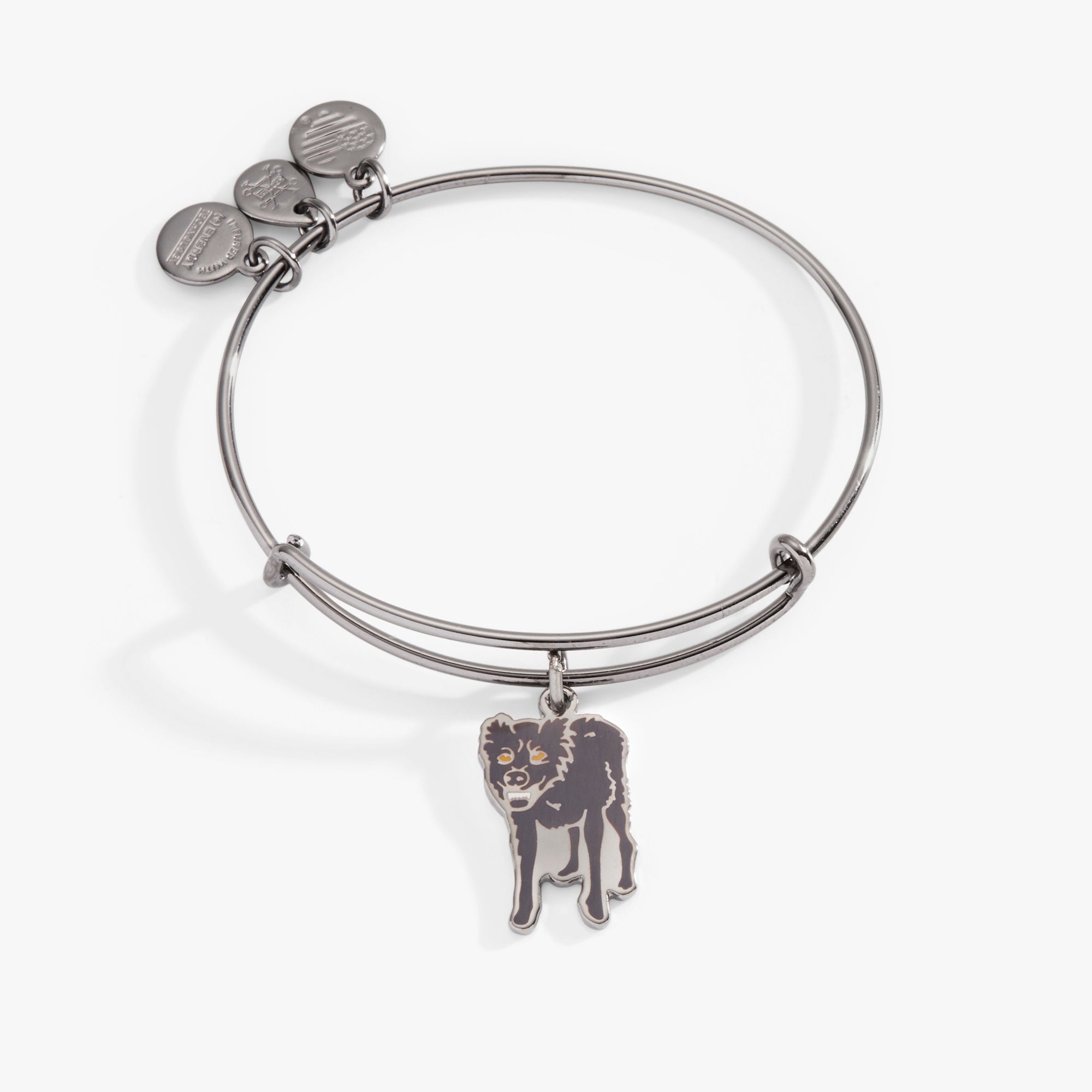 Alex and Ani Sirius Black Harry Potter charm bangle bracelet in midnight silver, featuring iconic wizarding world details.