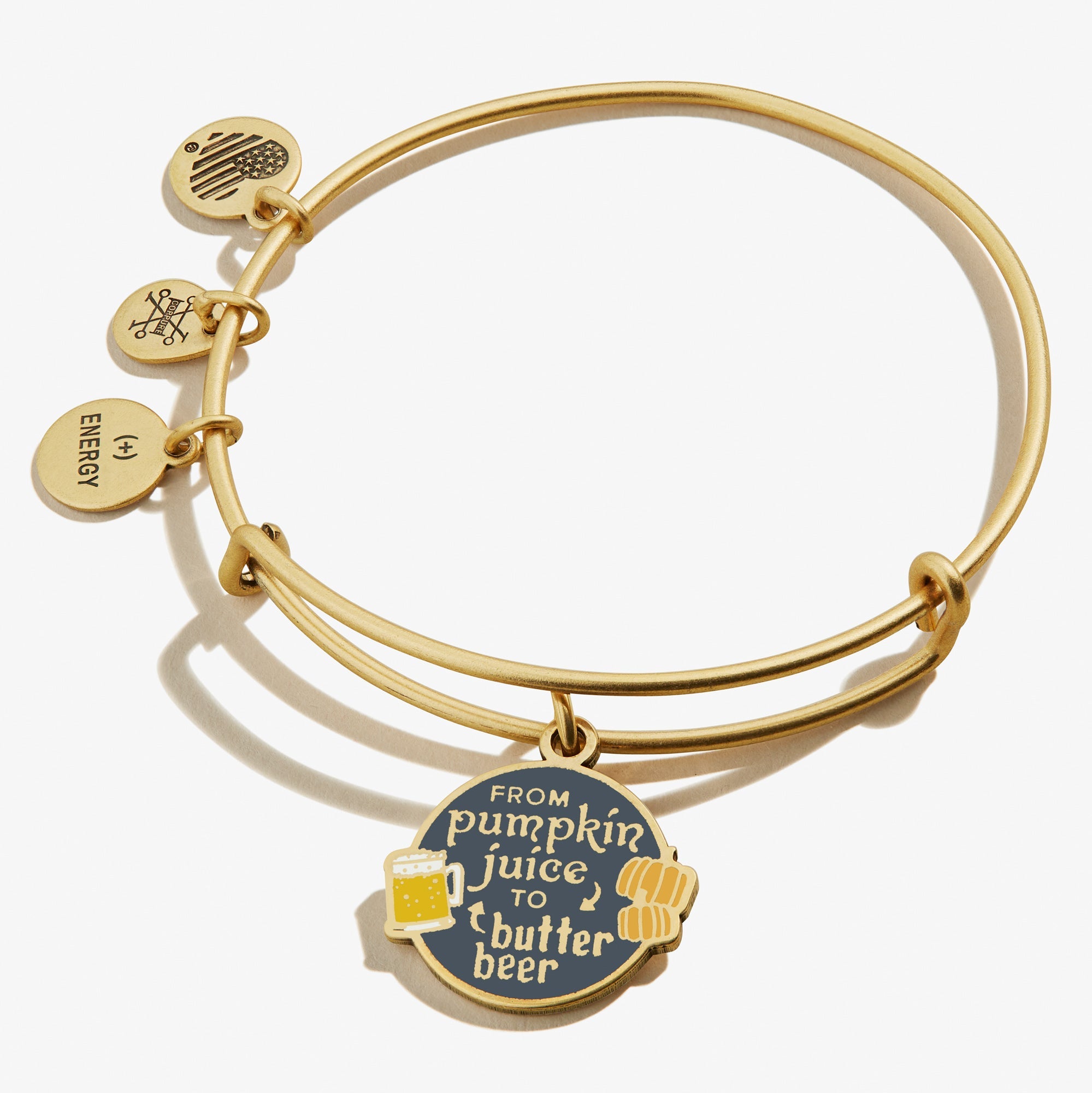 ALEX AND ANI Harry Potter charm bangle featuring pumpkin juice and butter beer charms on a gold bracelet.