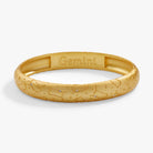 Satin silver Gemini Zodiac Hinge Bangle bracelet by ALEX AND ANI with engraved zodiac symbol and sleek hinge design.