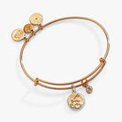 Two-tone Aquarius Zodiac Charm Bangle by ALEX AND ANI, featuring a delicate bracelet with celestial-themed charm for astrology lovers.