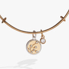 Two-tone Aquarius Zodiac Charm Bangle by ALEX AND ANI featuring a detailed Aquarius pendant on a sleek bracelet.