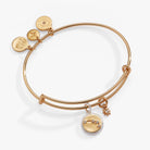 Two-tone Aries zodiac charm bangle bracelet by ALEX AND ANI featuring a detailed Aries symbol charm.