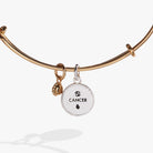 Two-tone Cancer zodiac charm bangle bracelet by ALEX AND ANI featuring a detailed Cancer symbol charm.