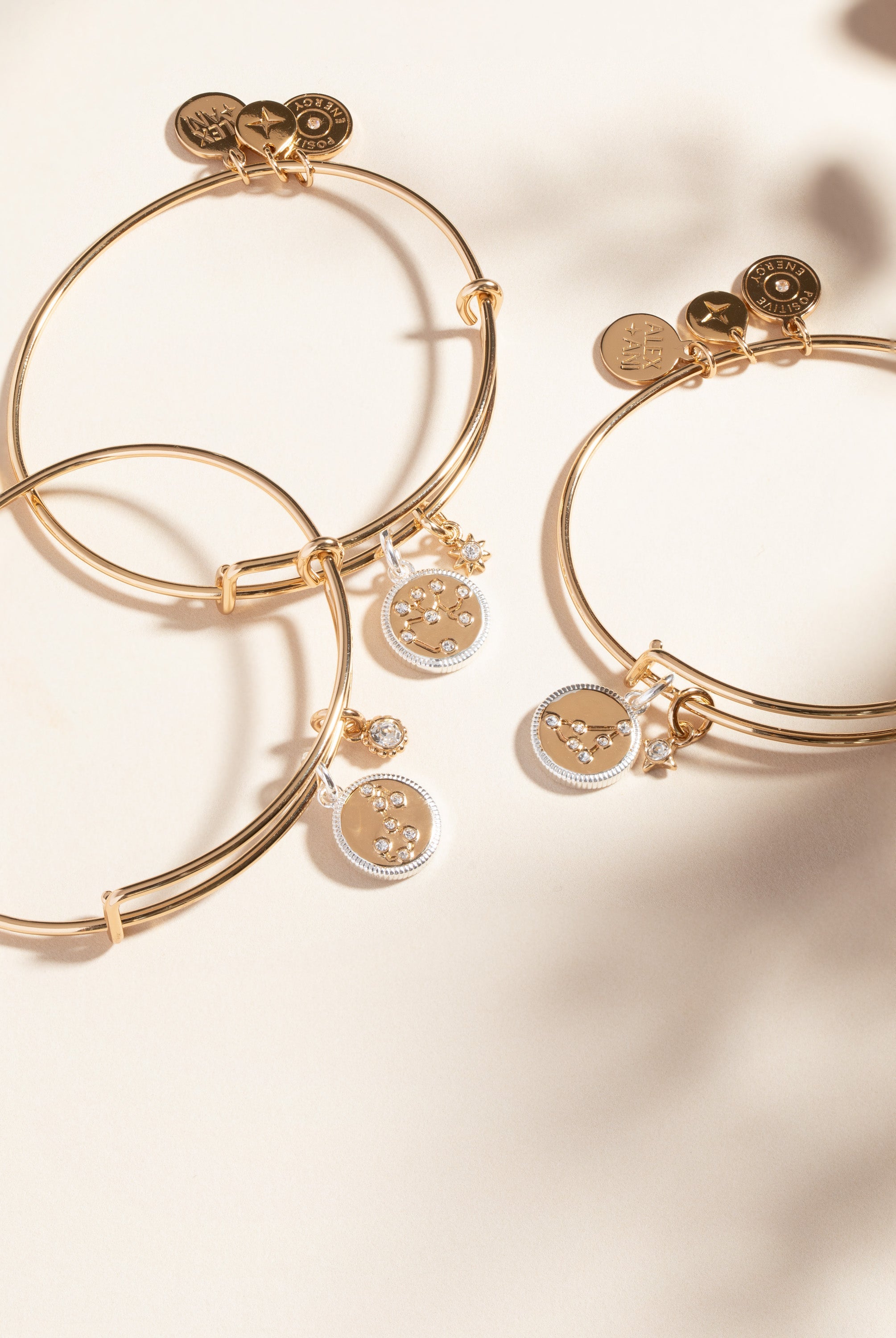 Two-tone Capricorn Zodiac Charm Bangle by ALEX AND ANI, featuring a detailed Capricorn symbol on a sleek bracelet.