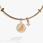 ALEX AND ANI Capricorn Zodiac Charm Bangle bracelet featuring a two-tone design with zodiac charm and sleek metal finish.