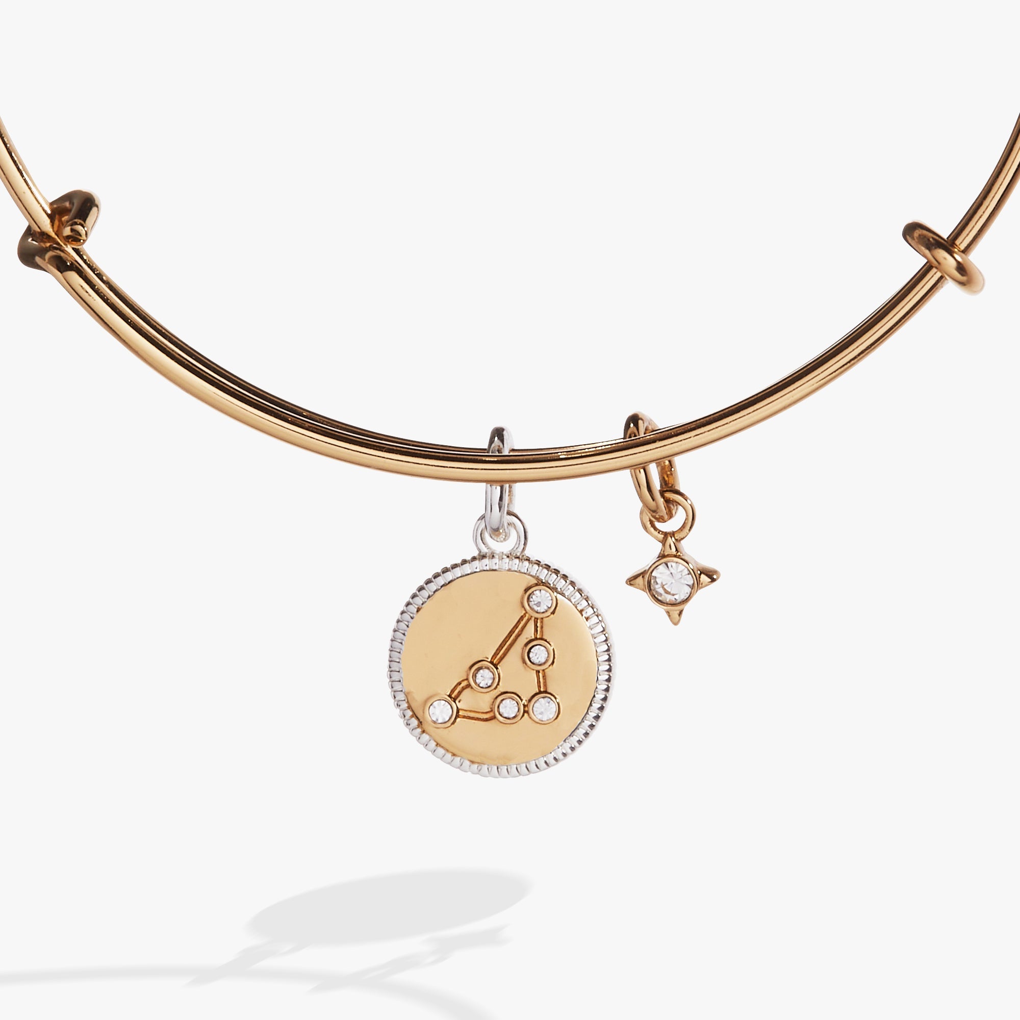 ALEX AND ANI Capricorn Zodiac Charm Bangle bracelet featuring a two-tone design with zodiac charm and sleek metal finish.