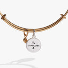 Two-tone Capricorn Zodiac Charm Bangle by ALEX AND ANI featuring a detailed Capricorn symbol on a sleek bracelet.