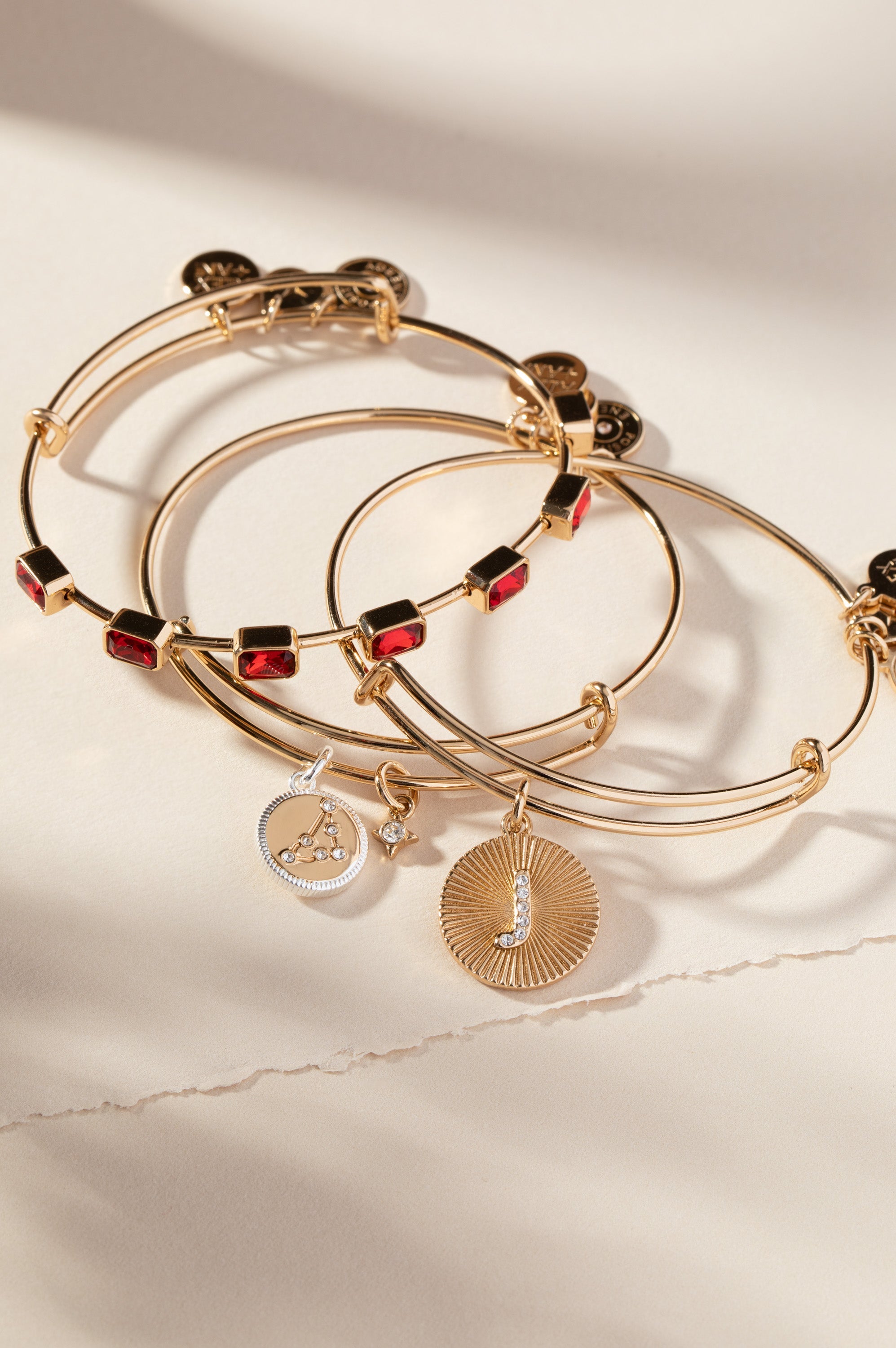 Two-tone Capricorn Zodiac Charm Bangle by ALEX AND ANI featuring a detailed Capricorn symbol on a sleek bracelet.
