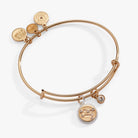 Two-tone Gemini zodiac charm bangle bracelet from ALEX AND ANI with zodiac symbol and celestial design.