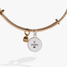 Two-tone Gemini Zodiac Charm Bangle by ALEX AND ANI featuring a sleek bracelet with a Gemini pendant charm.