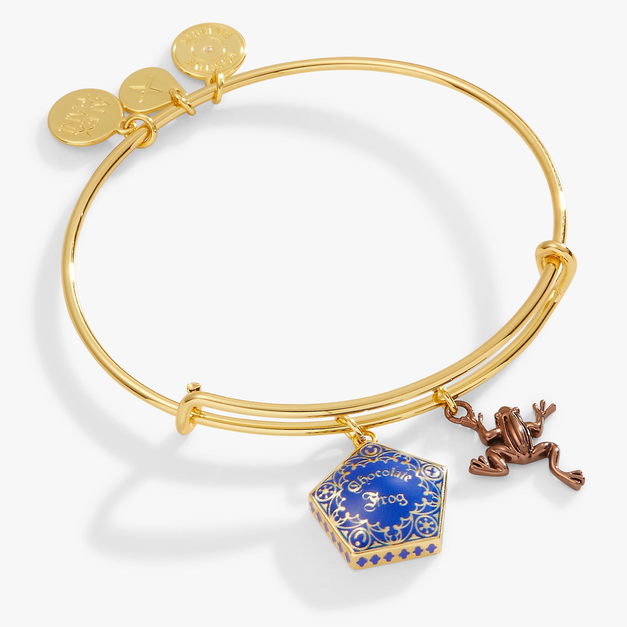 ALEX AND ANI Harry Potter™ Chocolate Frog two-tone charm bangle featuring Harry Potter-themed charms on a sleek bracelet.