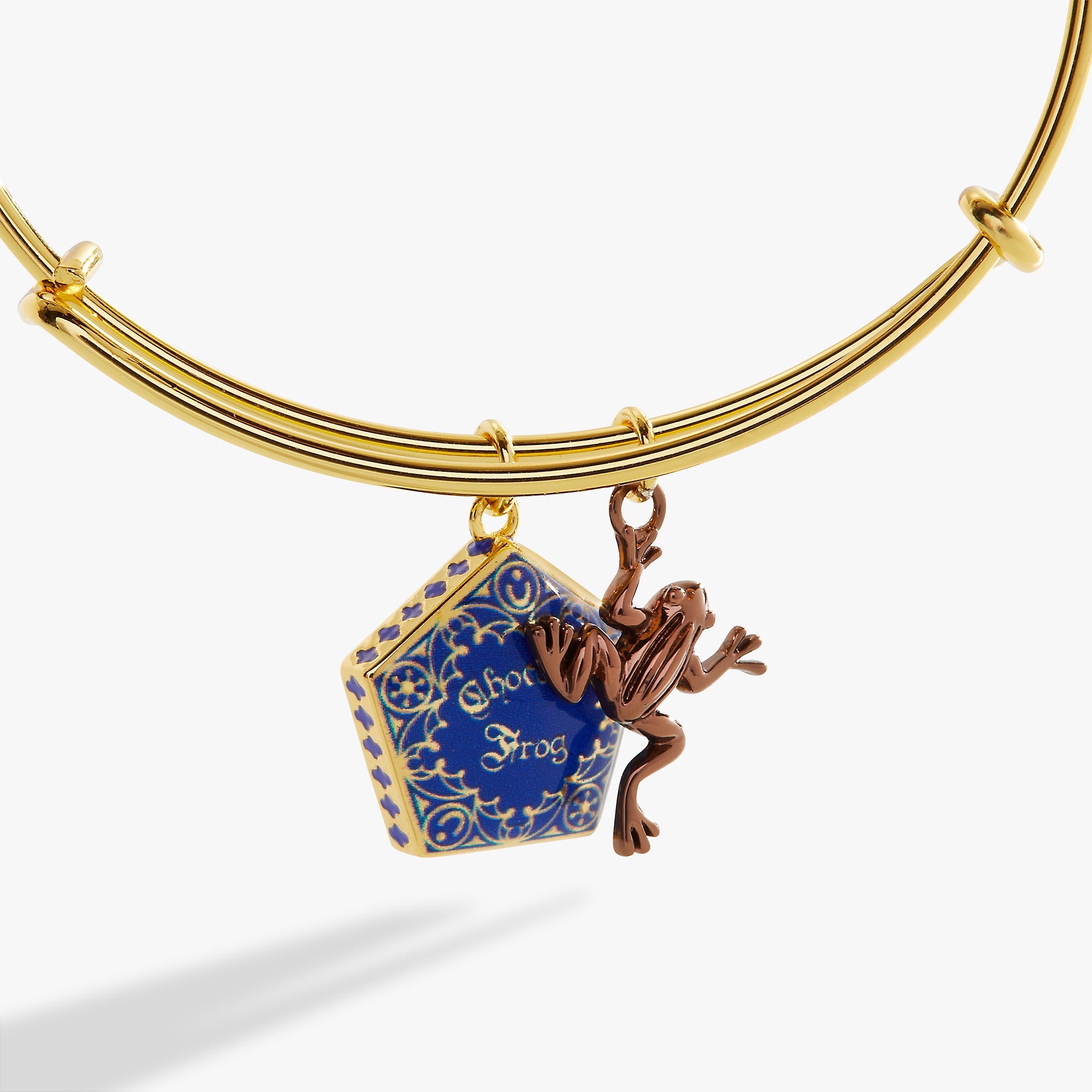 ALEX AND ANI Harry Potter™ Chocolate Frog two-tone charm bangle with two Harry Potter-themed charms on a sleek bracelet.
