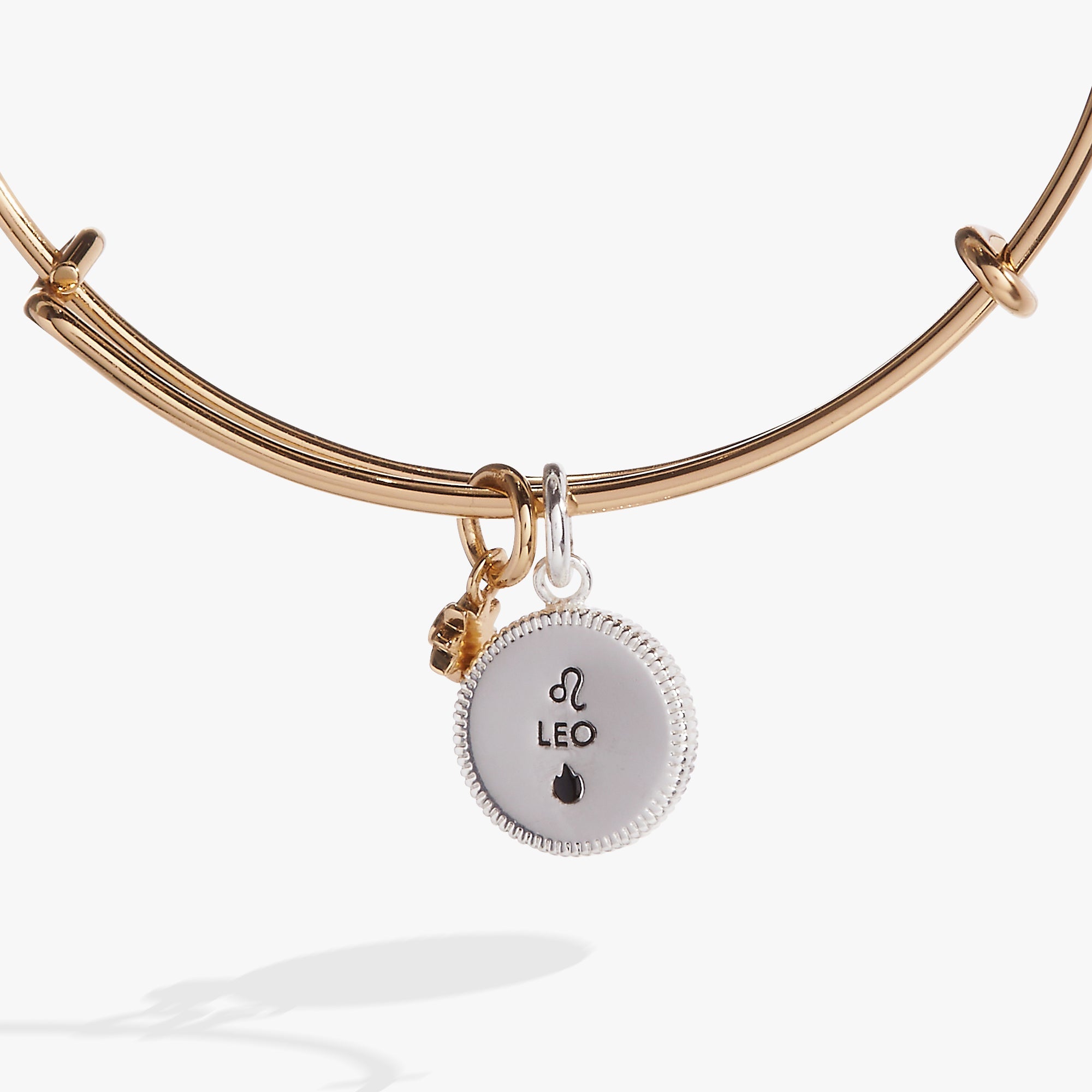 Two-tone Leo Zodiac charm bangle bracelet by ALEX AND ANI featuring a Leo symbol charm and elegant design.