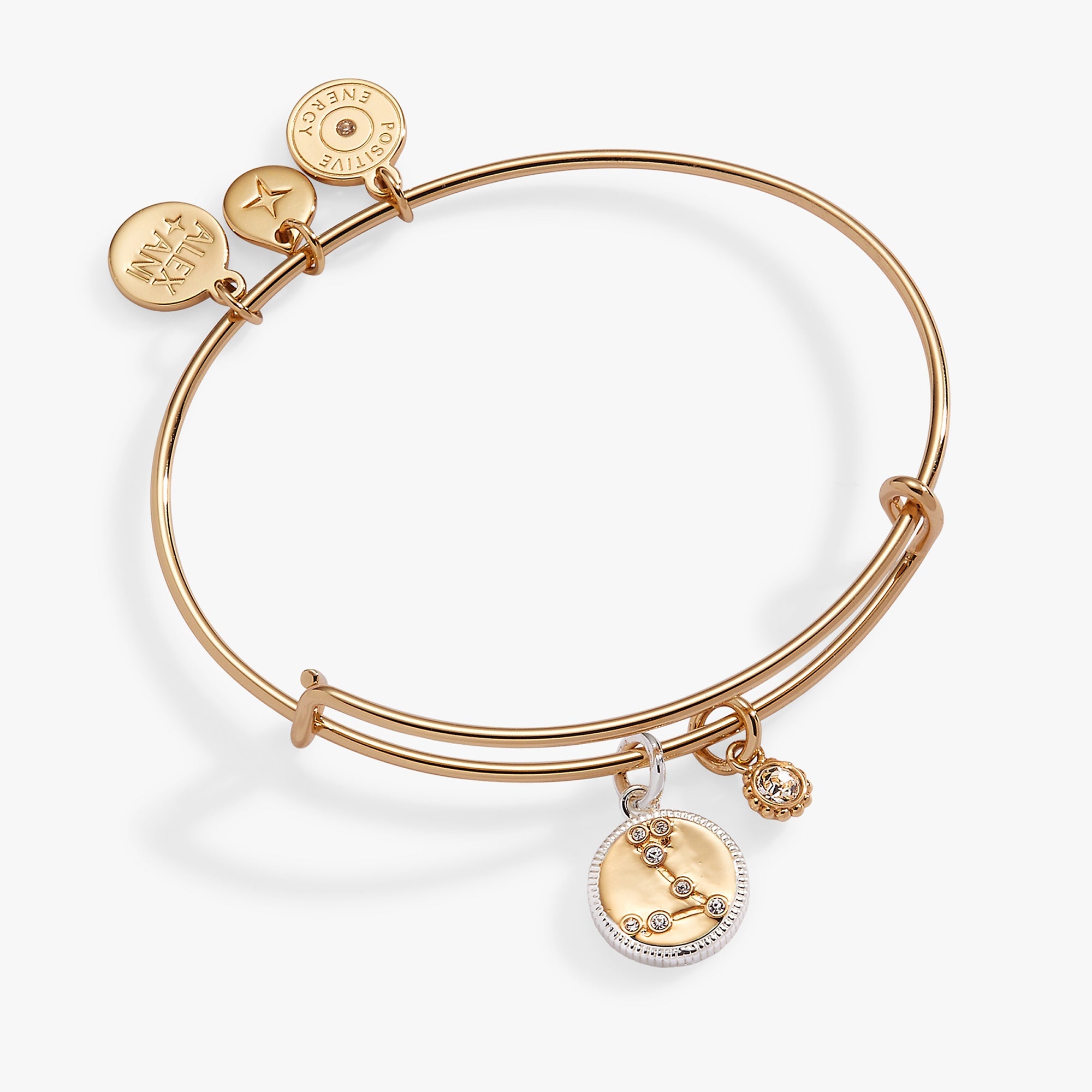 Two-tone Pisces zodiac charm bracelet by ALEX AND ANI featuring a Pisces symbol charm on a sleek bangle.