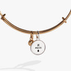 Two-tone Pisces Zodiac Charm Bangle by ALEX AND ANI featuring a Pisces symbol charm on a stylish bracelet.