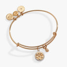 Two-tone Sagittarius zodiac charm bangle by ALEX AND ANI featuring a sleek bracelet with a zodiac coin charm.