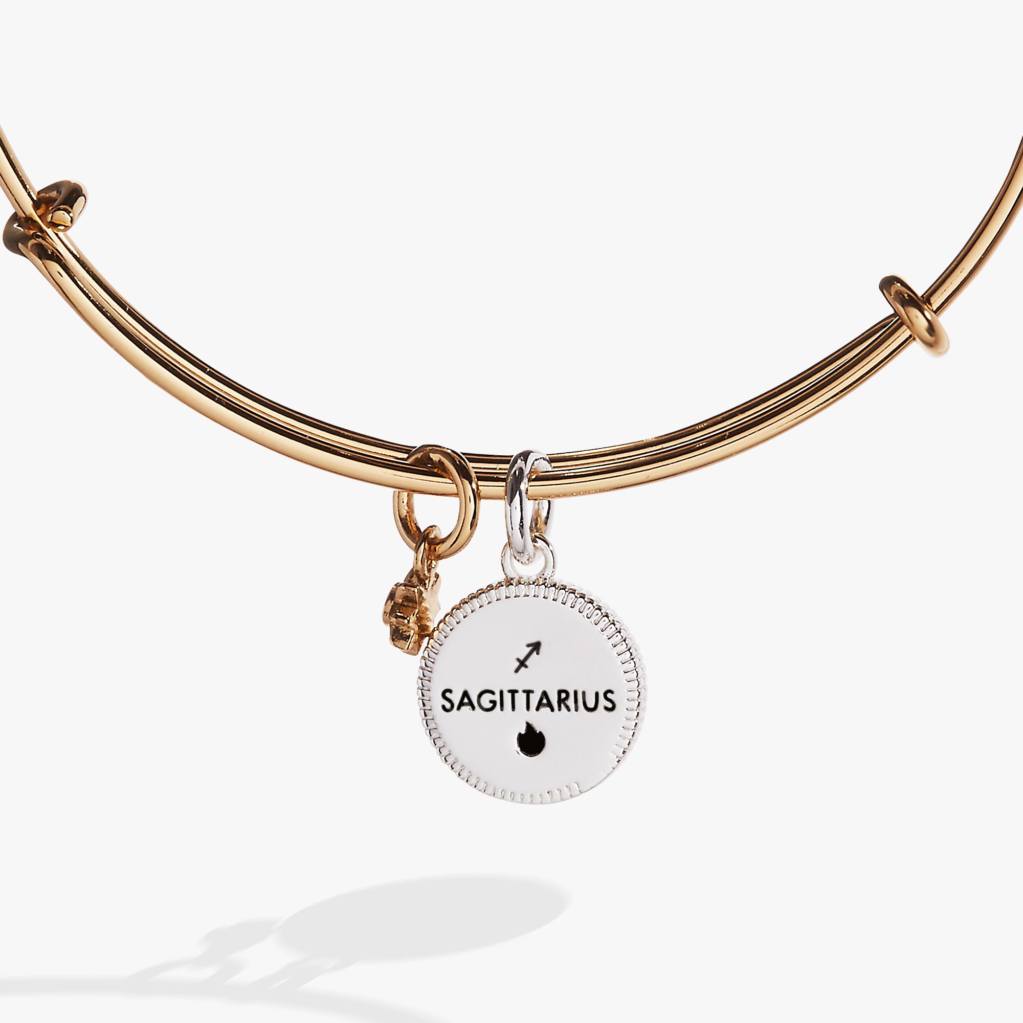 ALEX AND ANI Sagittarius Zodiac Charm Bangle in two-tone metal with engraved Sagittarius symbol on a sleek bracelet.