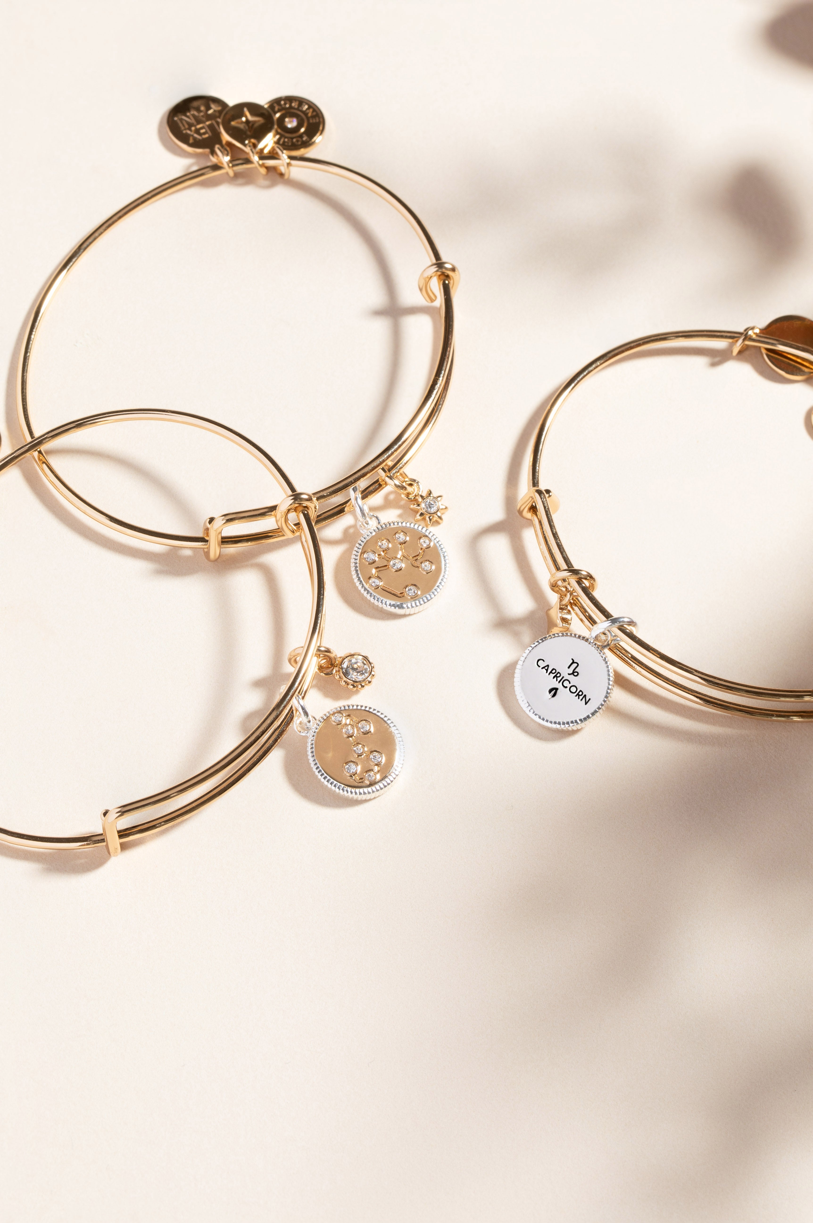ALEX AND ANI Scorpio Zodiac Charm Bangle featuring a two-tone bracelet with a Scorpio zodiac charm and intricate design.