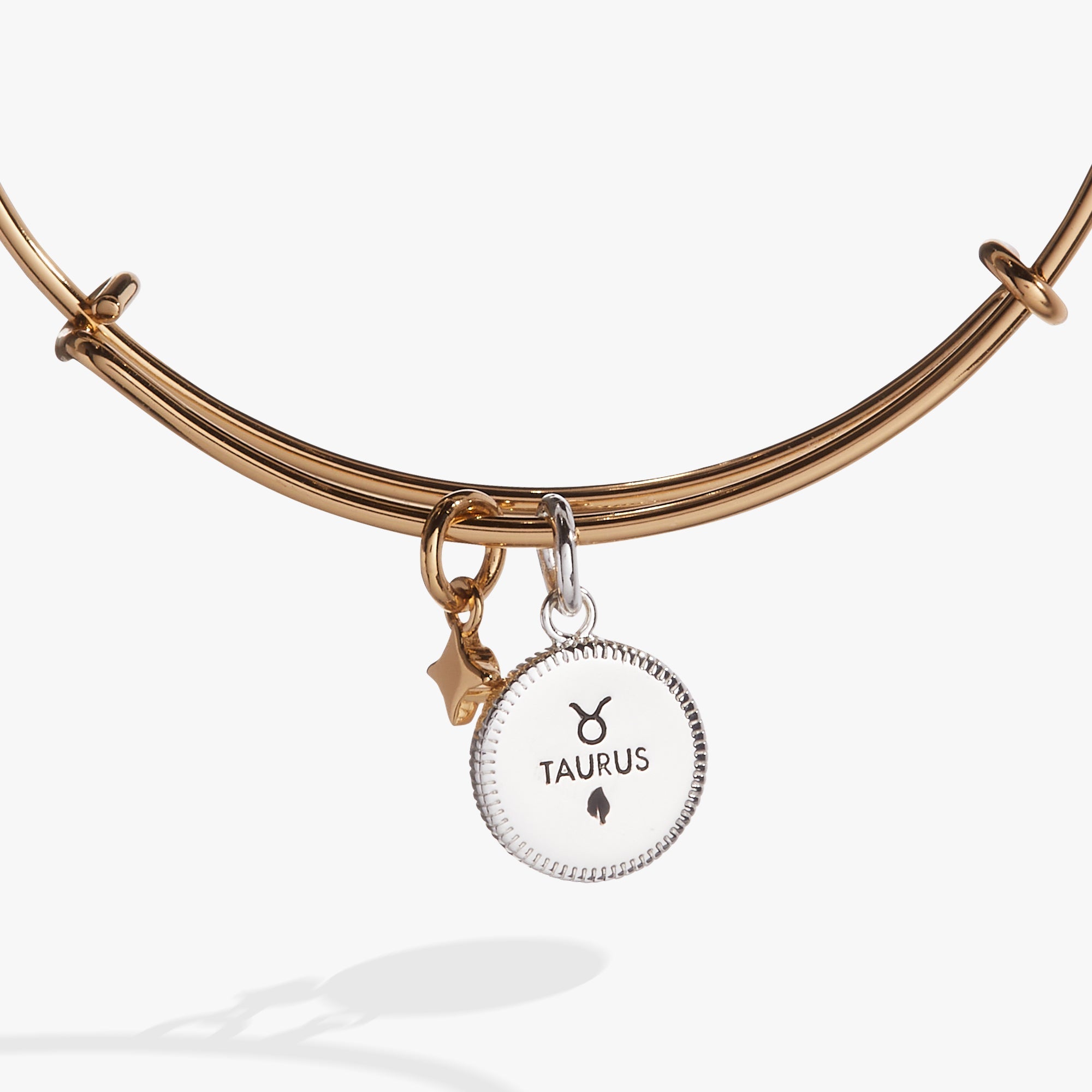 ALEX AND ANI Taurus zodiac charm bangle bracelet in two-tone metal with Taurus symbol and decorative accents.