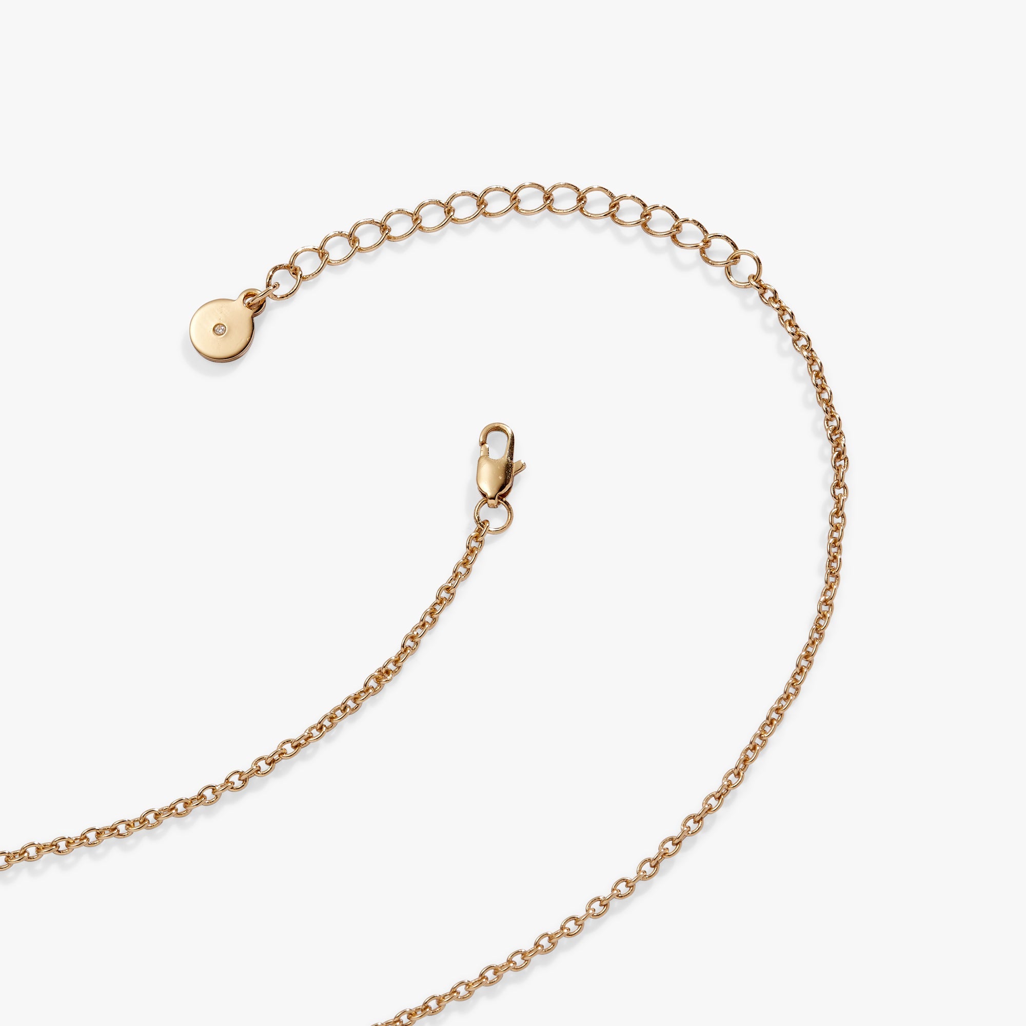 Gold ALEX AND ANI Lucky Four Leaf Clover adjustable necklace featuring a delicate four-leaf clover pendant on a chain.