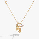 Gold Capricorn Zodiac charm cluster necklace by Alex and Ani featuring stainless steel chain and zodiac-themed pendant.