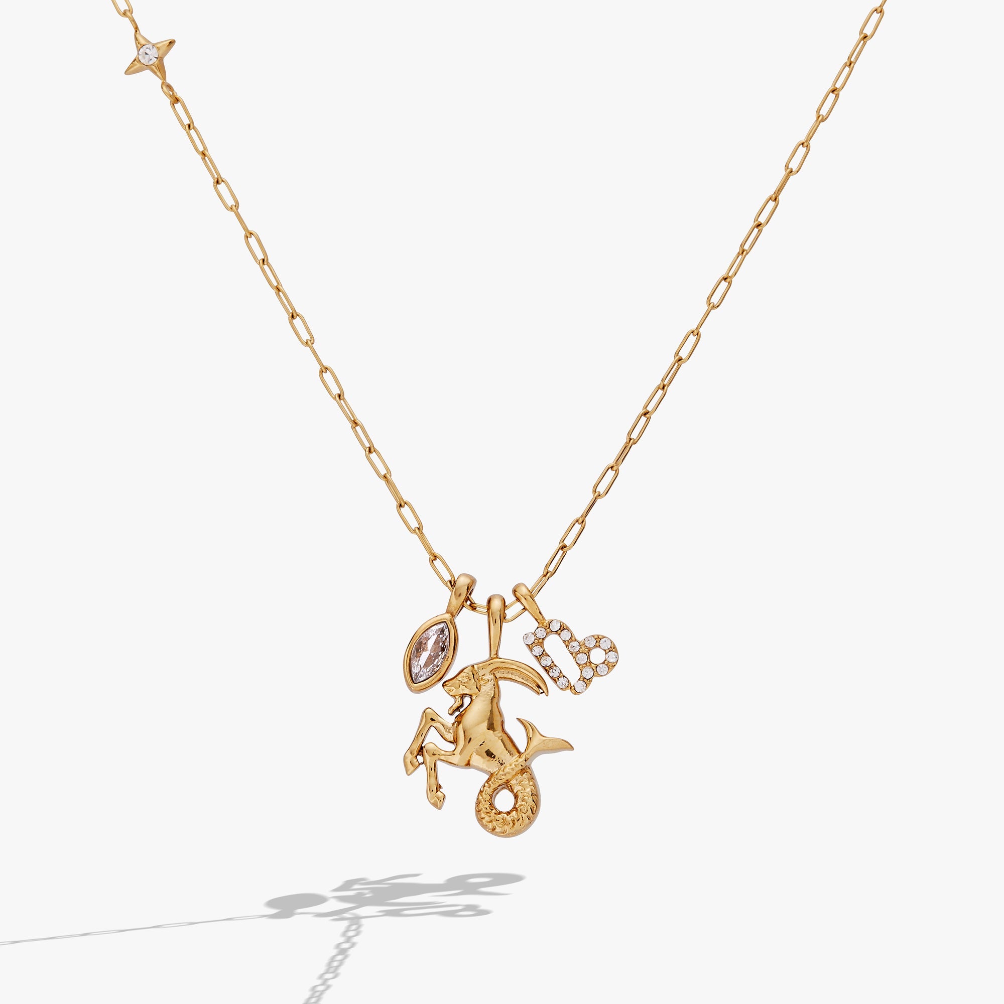 Gold Capricorn Zodiac charm cluster necklace by Alex and Ani featuring stainless steel chain and zodiac-themed pendant.