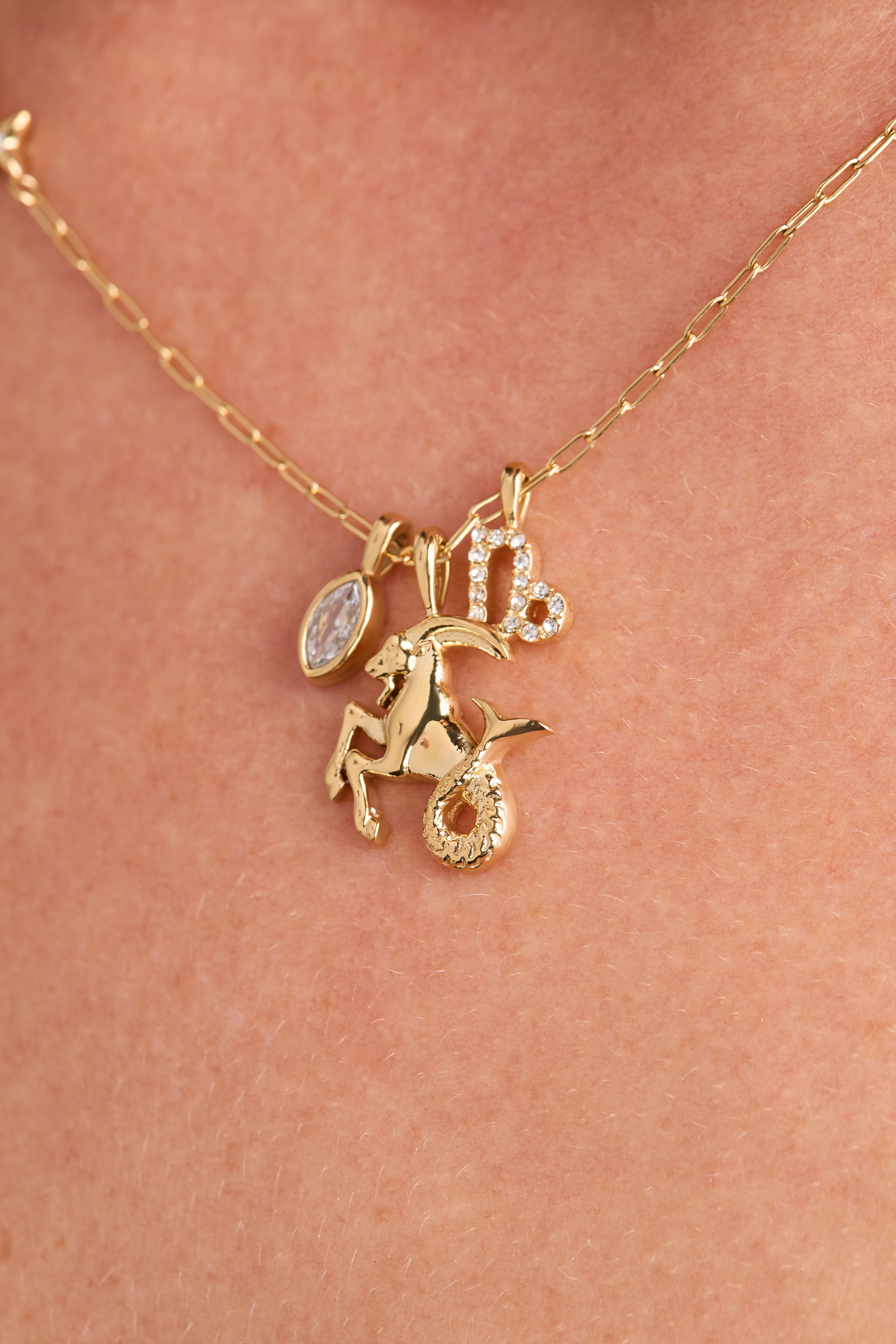 Gold Capricorn Zodiac Charm Cluster Necklace by ALEX AND ANI featuring stainless steel chain and zodiac pendant.