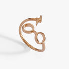 ALEX AND ANI Harry Potter glasses and scar ring wrap in 14k gold-over-sterling silver, featuring detailed Harry Potter-inspired design.