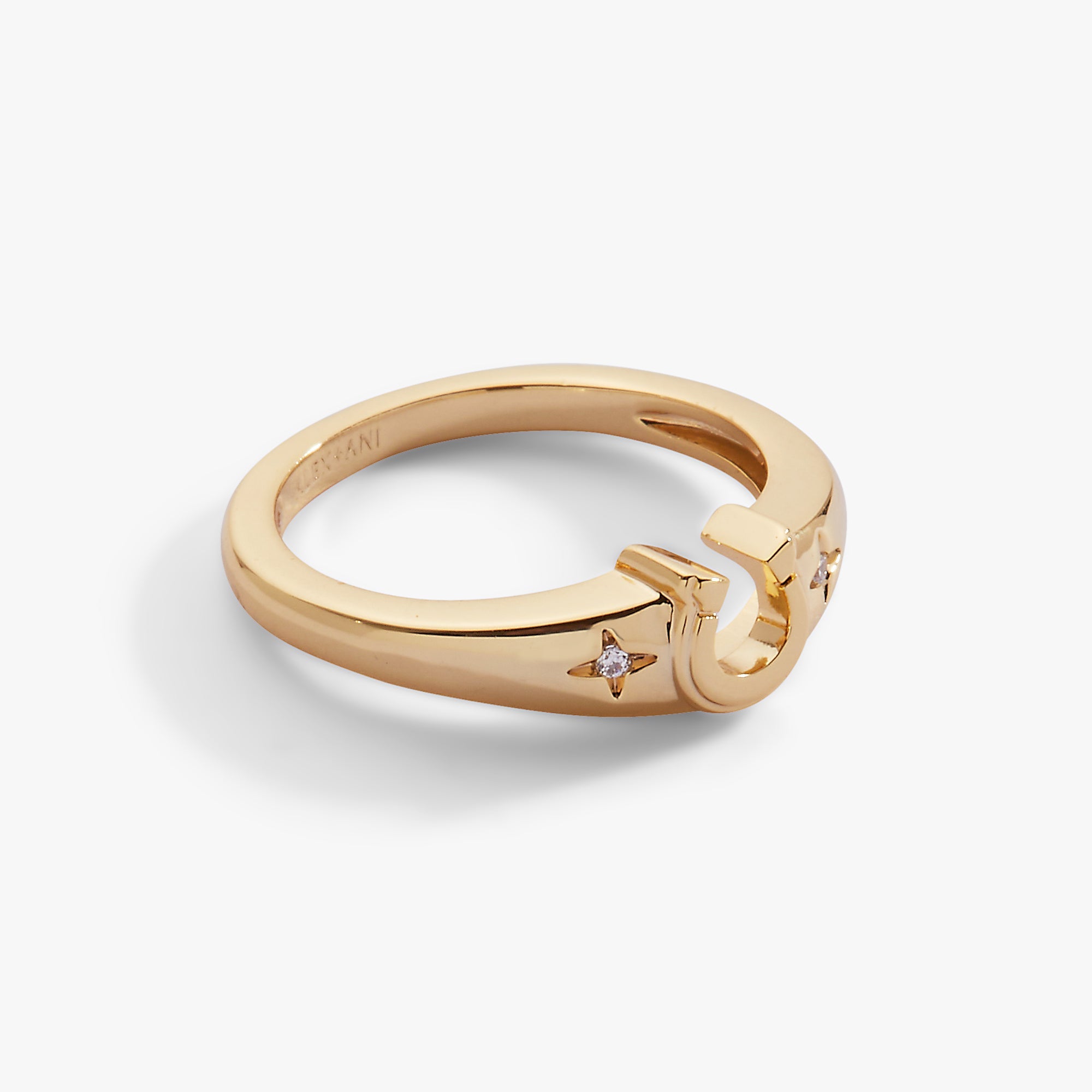 Gold Lucky Horseshoe Ring by ALEX AND ANI, featuring a detailed horseshoe design on a sleek ring band.