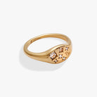 Gold stainless steel Capricorn zodiac ring by ALEX AND ANI featuring a detailed Capricorn symbol on a sleek band.