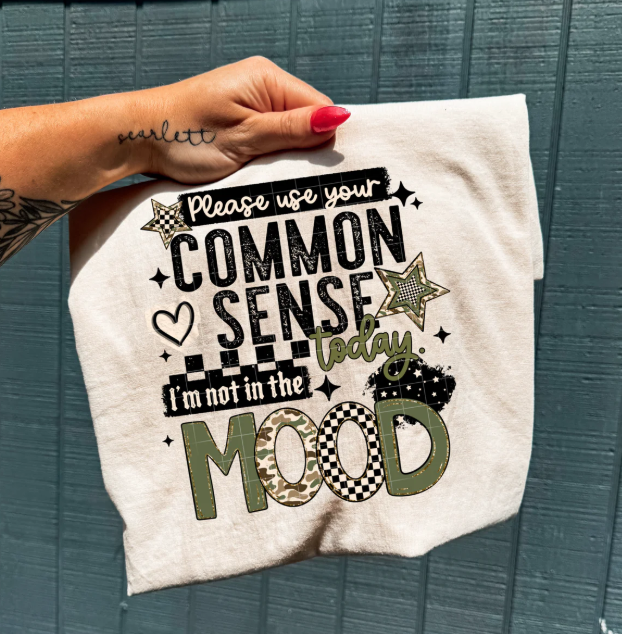 Please Use Your Common Sense Today graphic tee by Anchored Grace Boutique, featuring a casual cotton t-shirt with motivational text.