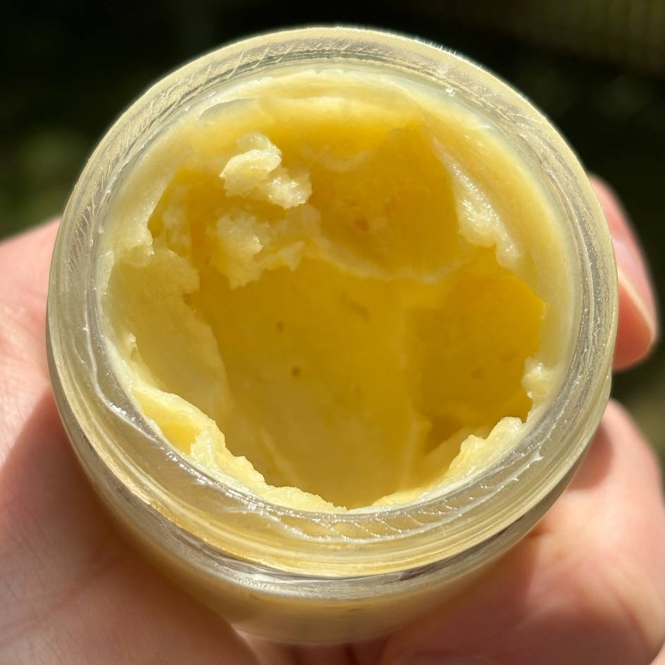 Ancient Health & Healings Bug Off Balm mosquito repellent in 2oz jar, natural bug repellent for outdoor protection
