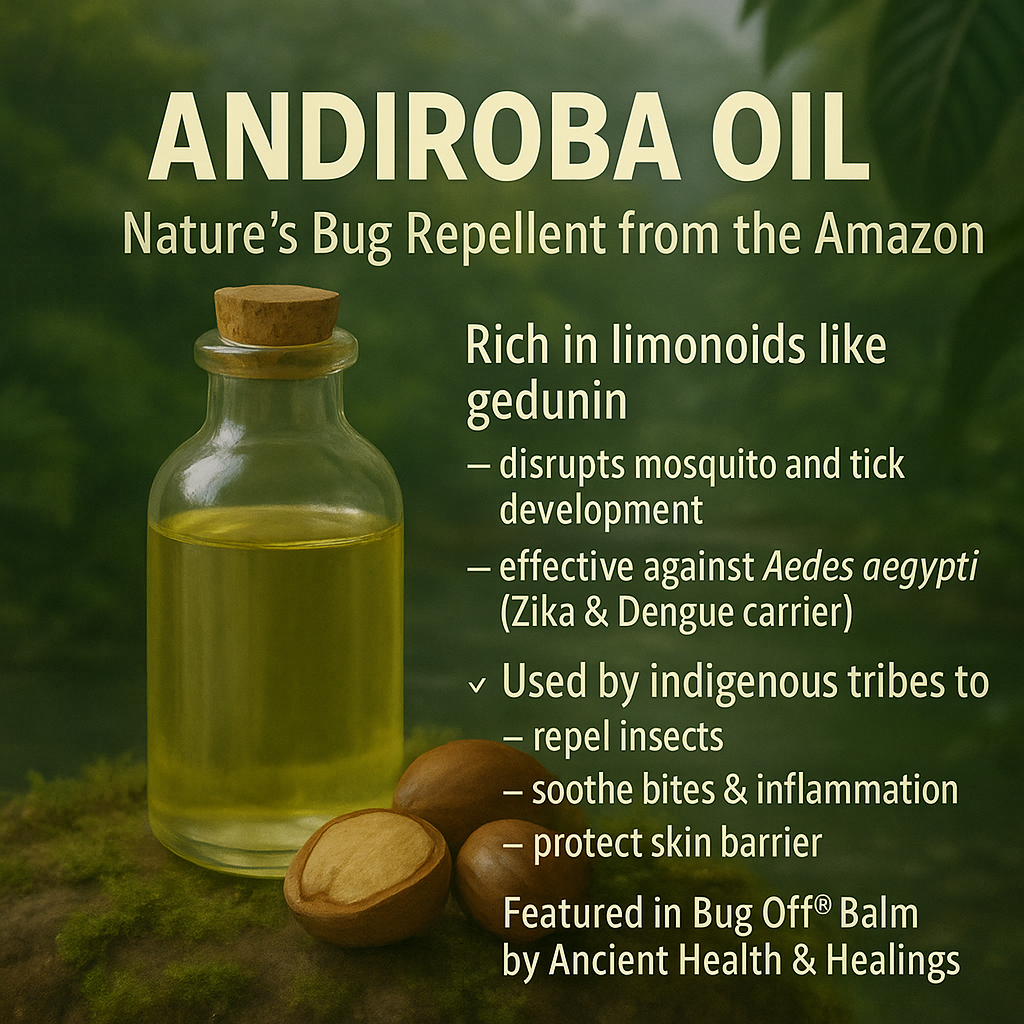 Ancient Health & Healings Bug Off Balm mosquito repellent in 2oz container, natural bug repellant balm for outdoor protection.