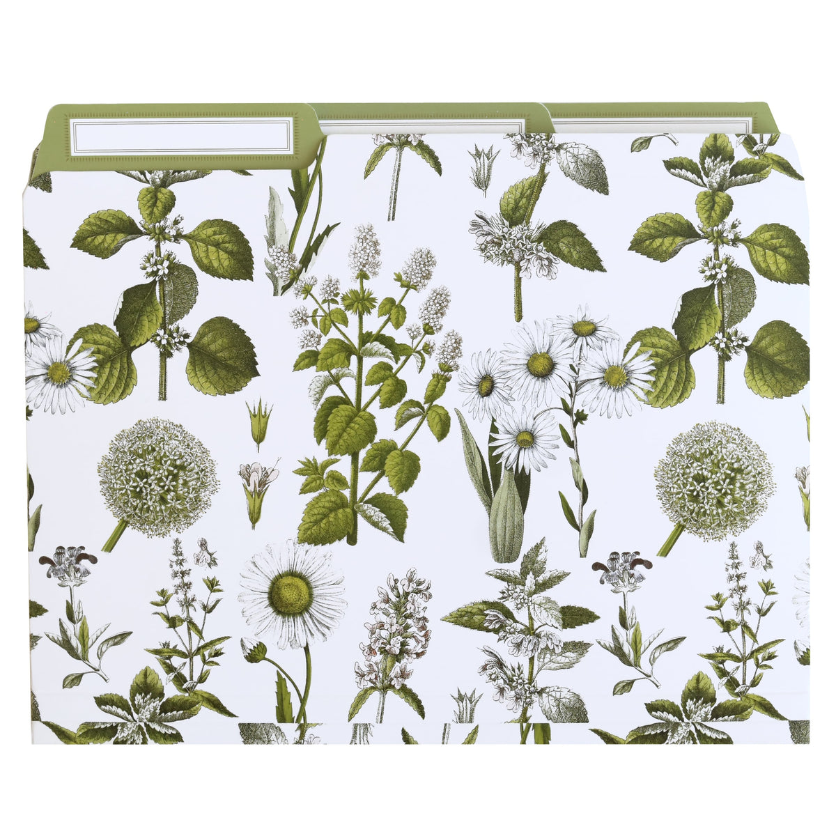 Botanical file folders by Anna Griffin Inc. with floral botanical designs, ideal for organizing documents and office supplies.