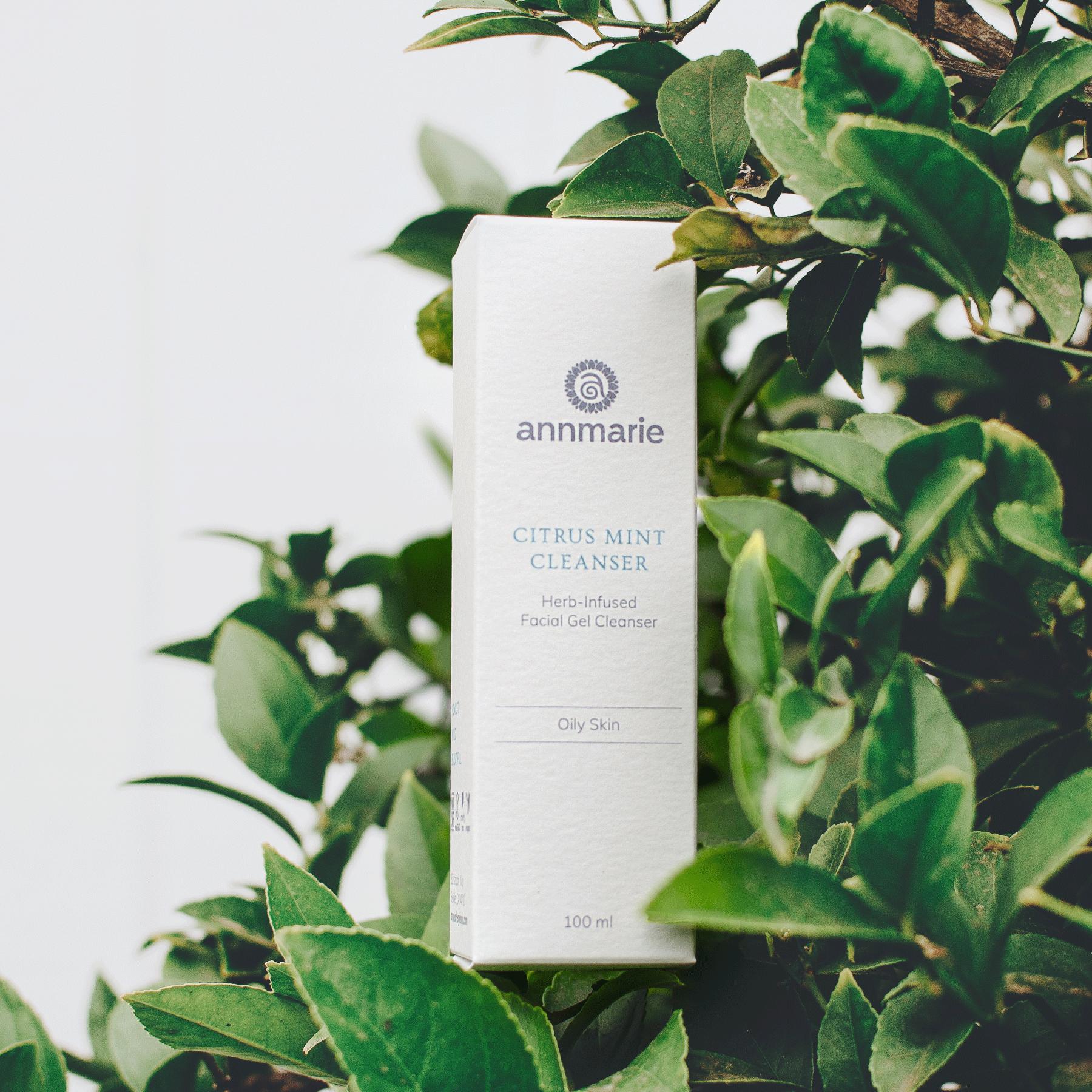 Citrus Mint Cleanser in 100ml bottle by Annmarie Skin Care, featuring a refreshing citrus and mint formula for clean, glowing skin.