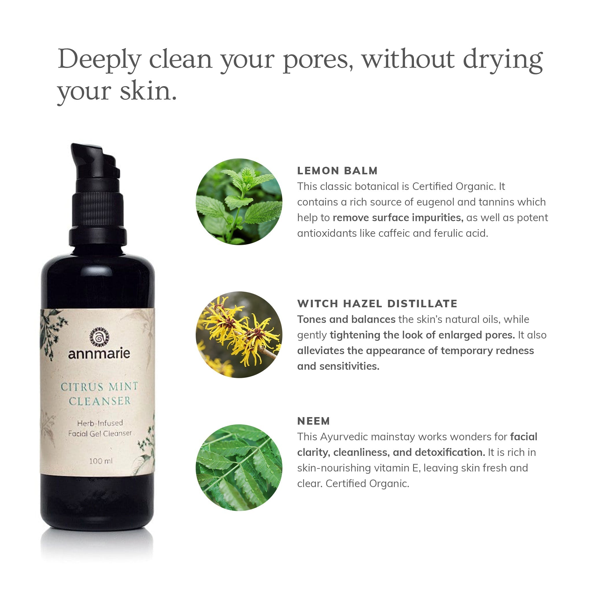 Annmarie Skin Care Citrus Mint Cleanser 100ml bottle with citrus and mint ingredients, clear liquid inside a sleek container.