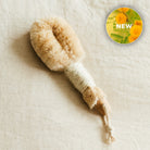 Exfoliating dry body brush by Annmarie Skin Care with natural bristles for smooth, refreshed skin.