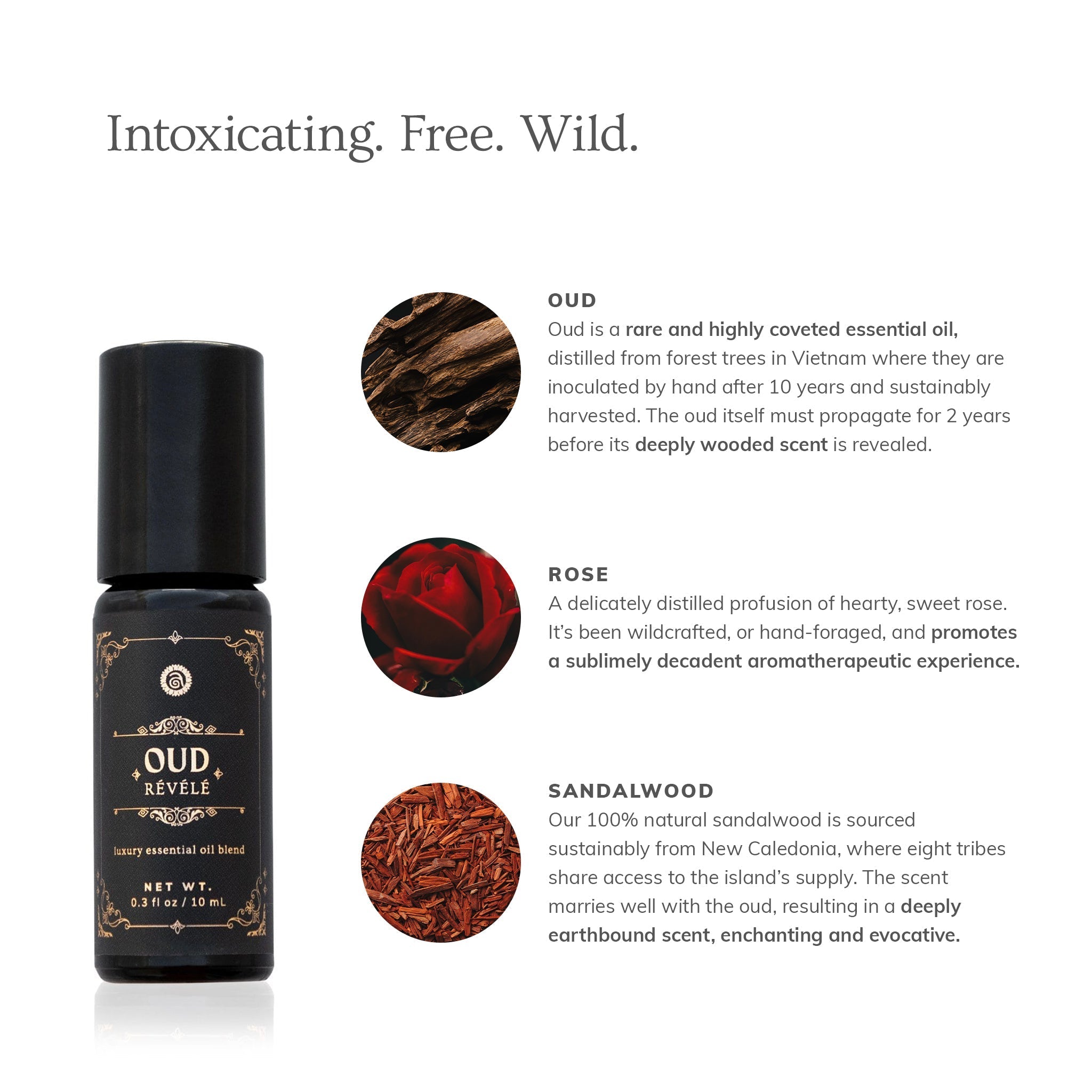 Oud Révélé 10ml perfume bottle by Annmarie Skin Care, elegant glass container with amber-colored fragrance inside.