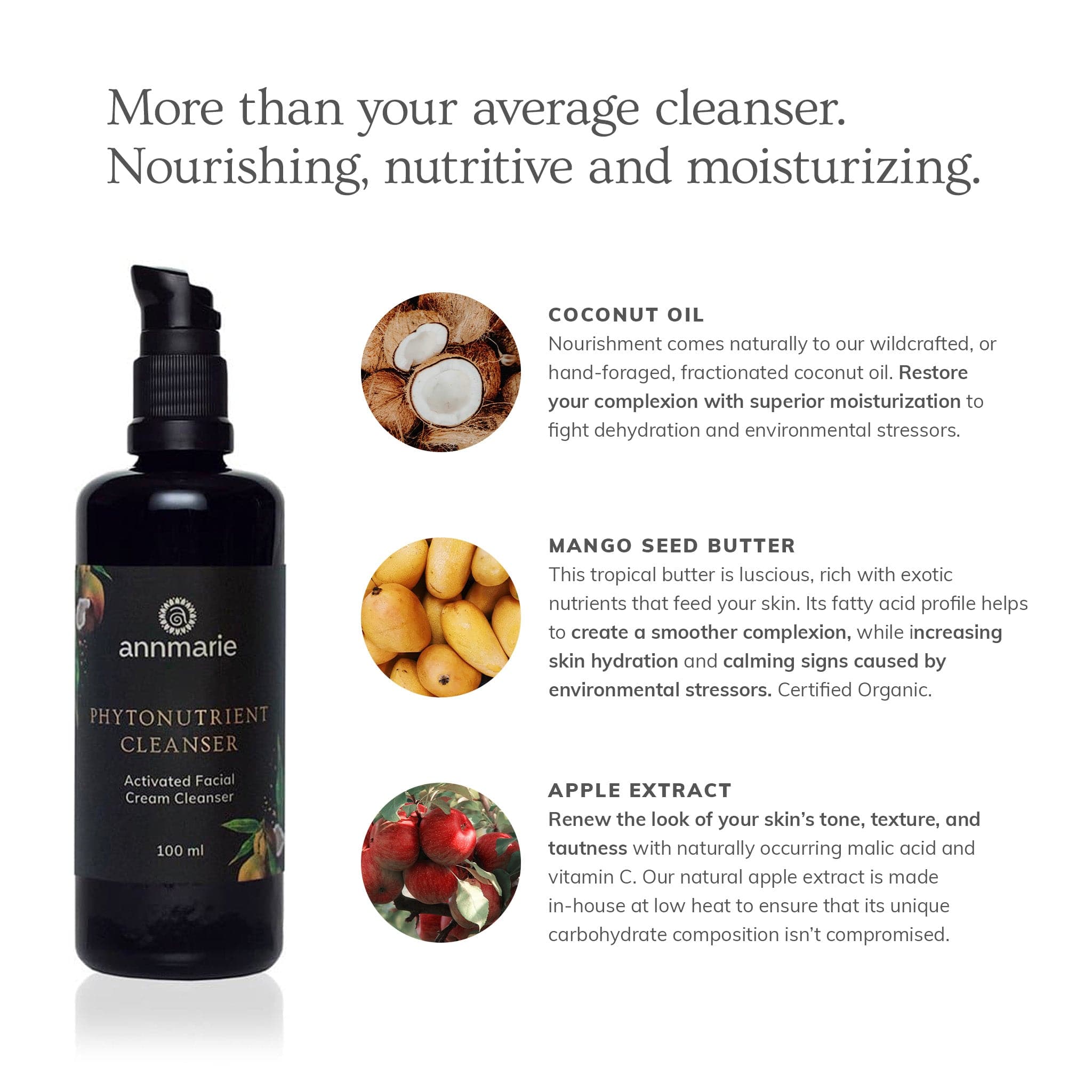 Annmarie Skin Care Phytonutrient Cleanser, 100ml activated facial cream cleanser shown in a clear bottle.