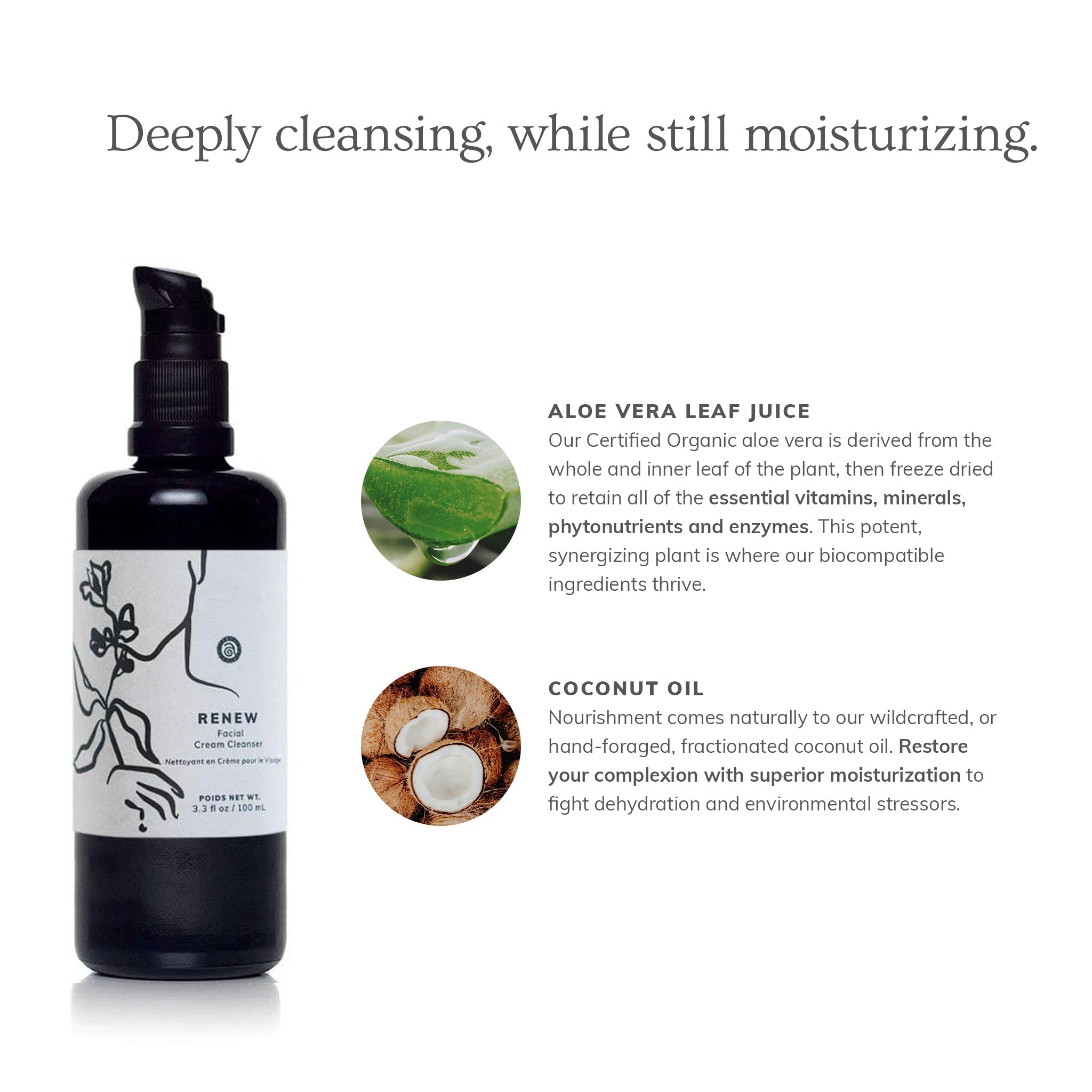 Annmarie Skin Care Renew Facial Cream Cleanser 100ml bottle with pump for gentle facial cleansing and skincare.