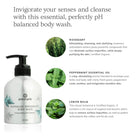 Rosemary peppermint hand and body wash by Annmarie Skin Care in a 240ml bottle, featuring fresh herbal ingredients.