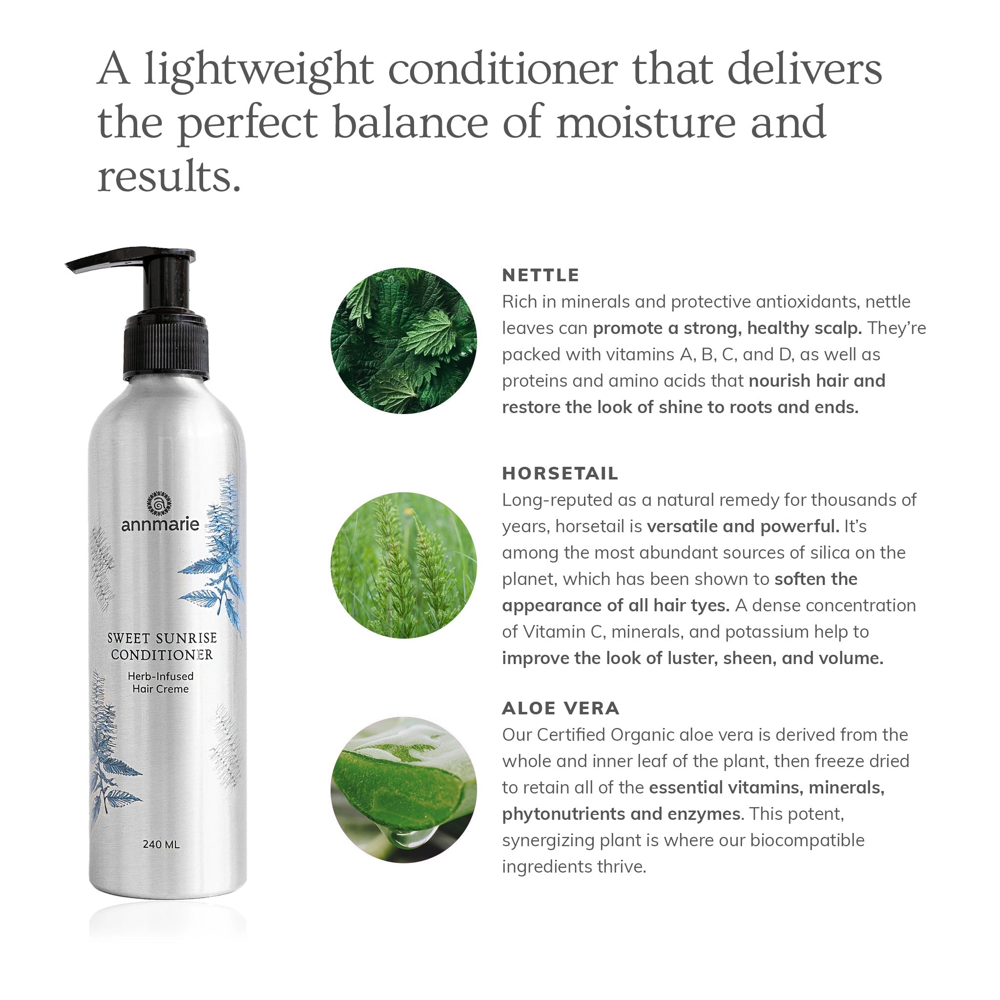 Bottle of Annmarie Skin Care Sweet Sunrise Conditioner in 240ml size, with a sleek, natural-themed label design.