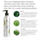 Sweet Sunrise Shampoo by Annmarie Skin Care in 240ml bottle, gentle hair cleanser with natural ingredients.